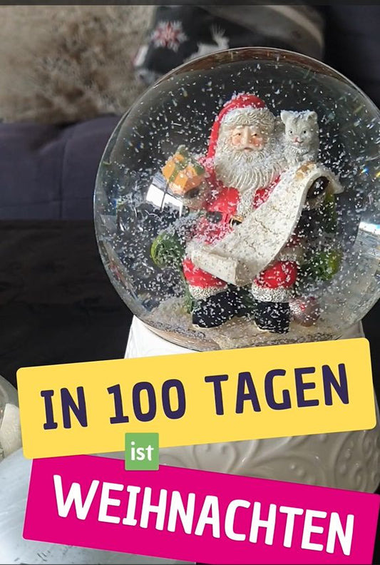 In 100 Tagen ist Weihnachten - Schneekugelhaus