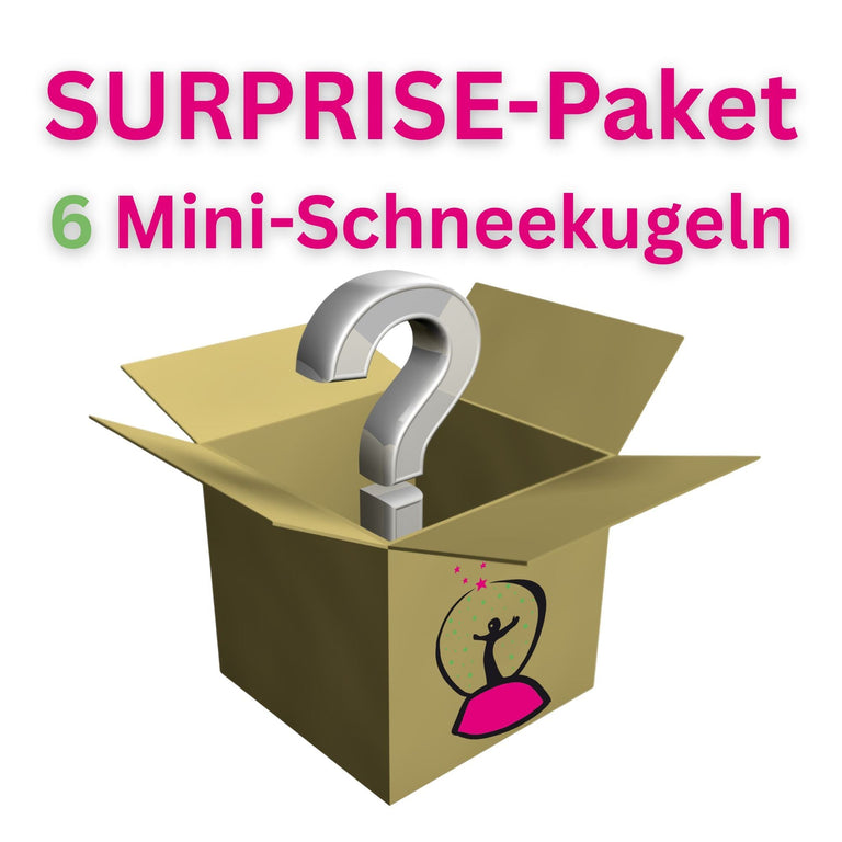 Surprise - Paket: 6 Mini - Schneekugeln - Auswahl zufällig - Schneekugelhaus