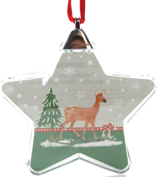 Bildanhänger in Sternform - Schneekugelhaus